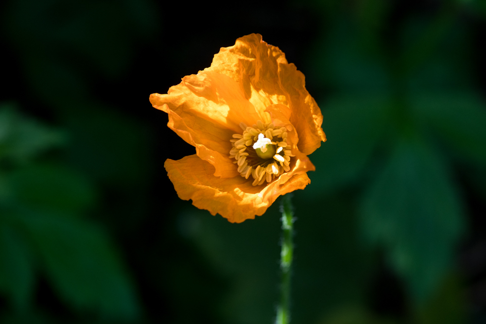230518-003.jpg