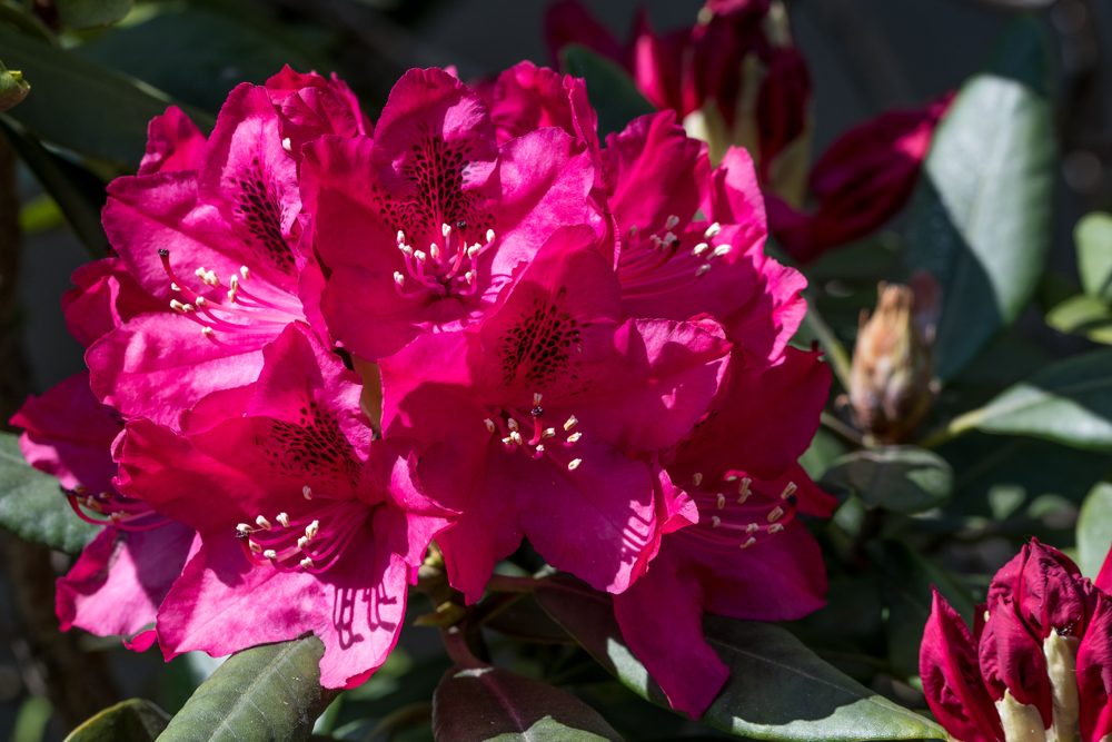 230518-005.jpg