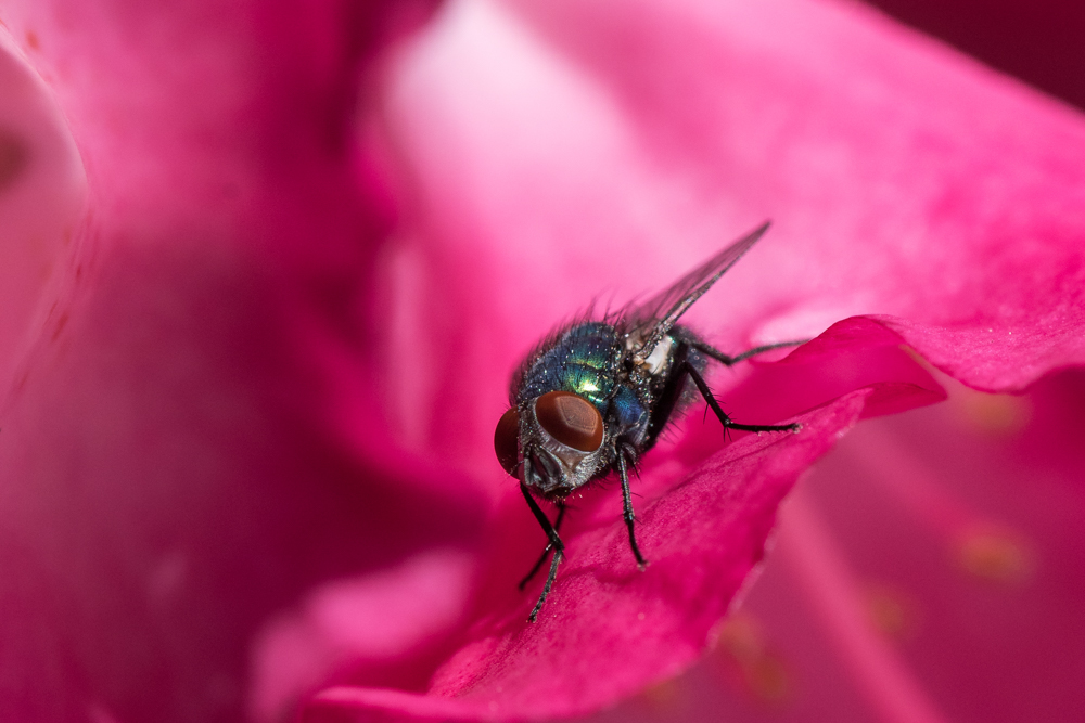 230518-006.jpg