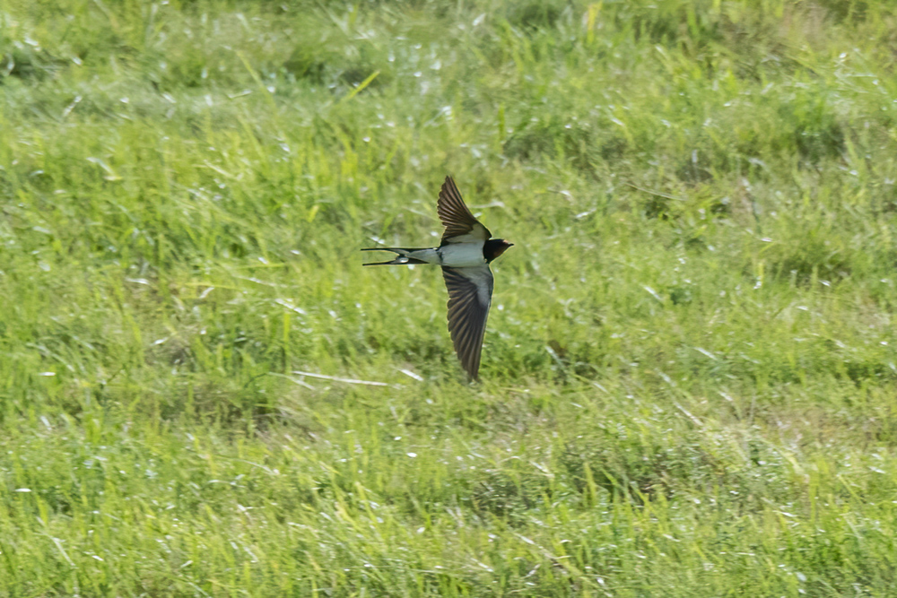 230725-006.jpg