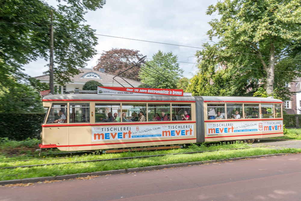 230806-001-2.jpg