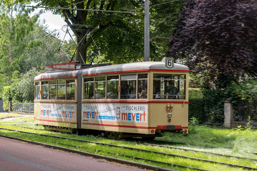 230806-007.jpg