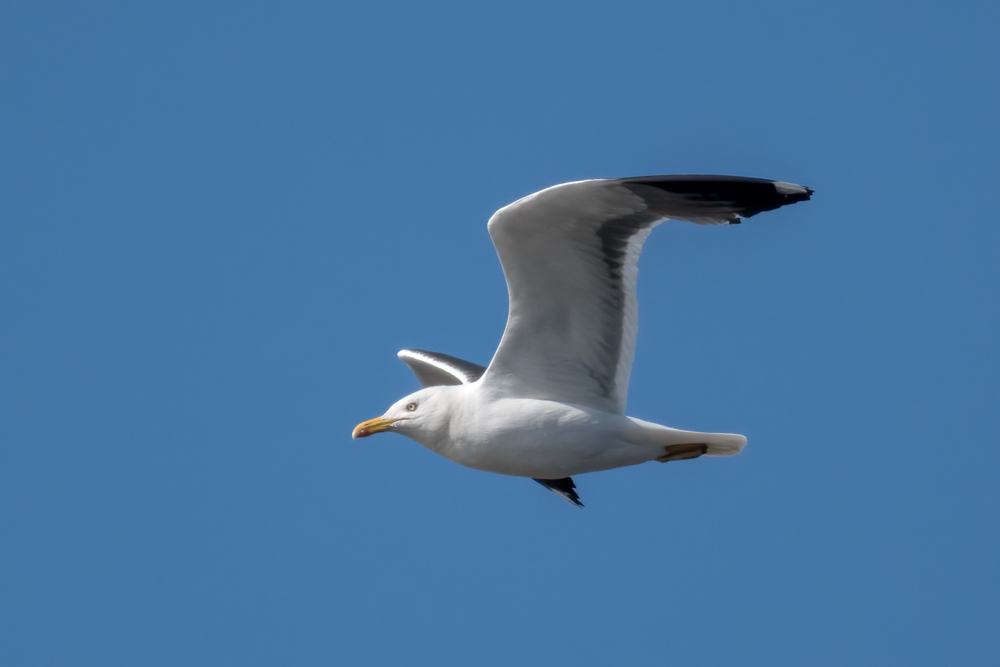 230810-009.jpg