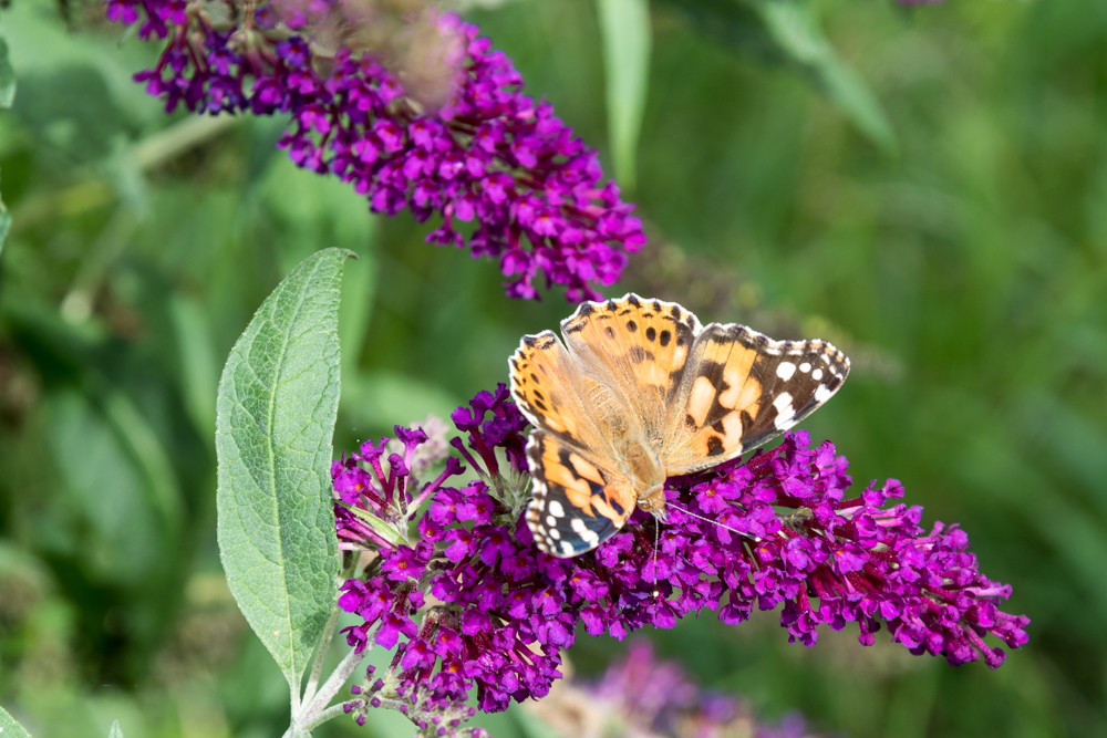 230903-001.jpg