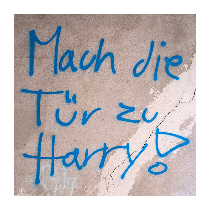 231/365 Brandi Carlile – The Stranger At My Door © 2025 Sabine Lommatzsch