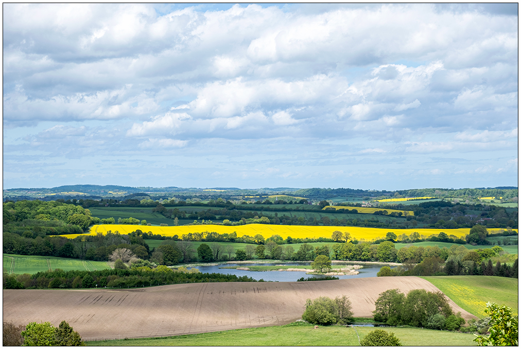 231 Schleswig-Holsteinische Schweiz – Blick vom Holzbergturm bei Malente II