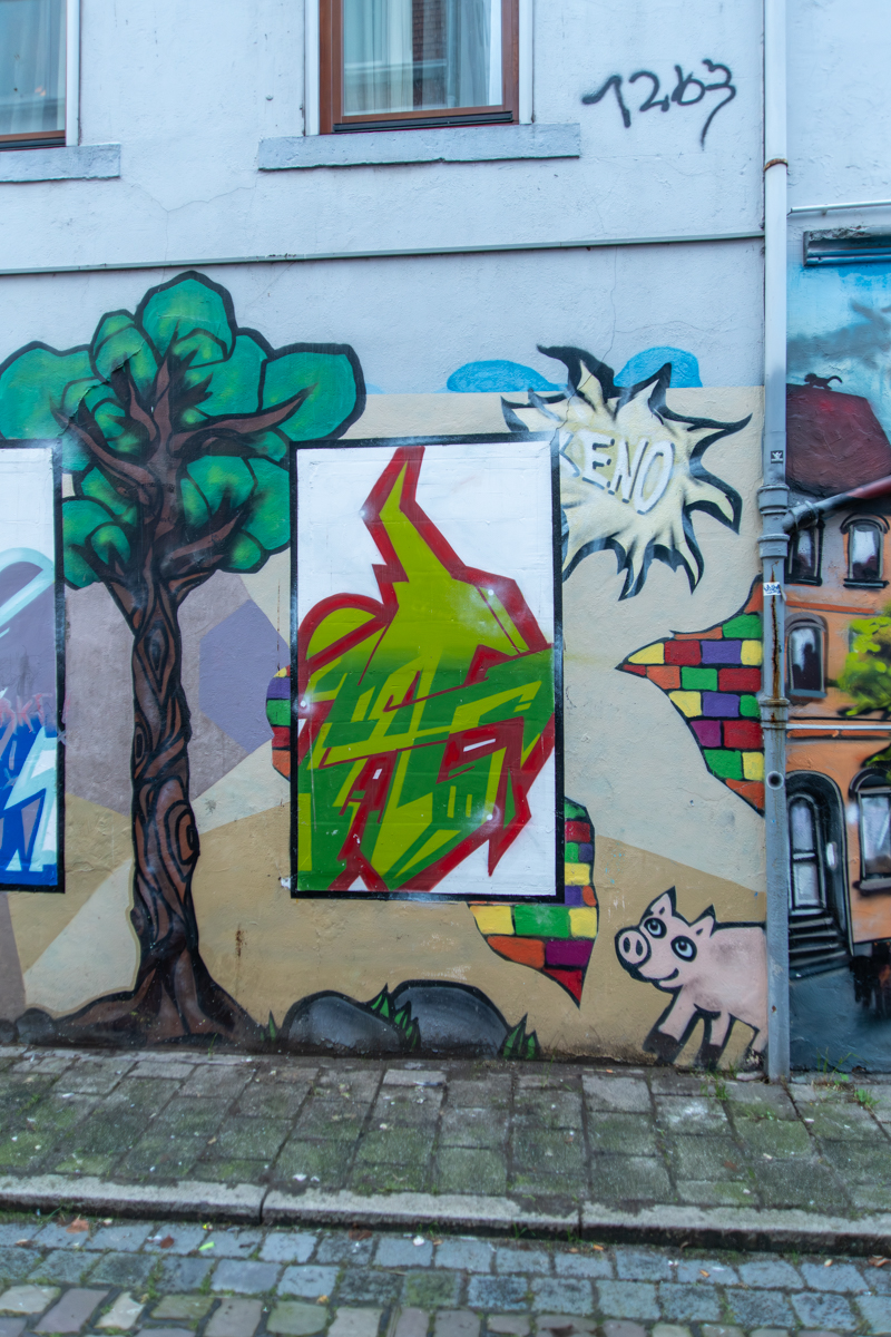231114 Graffiti Steintorviertel-3.jpg