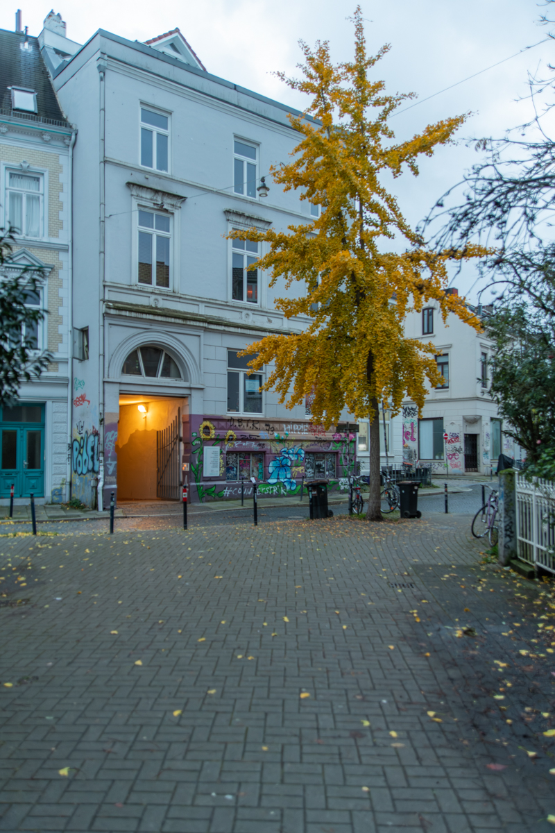 231114 Graffiti Steintorviertel-7.jpg