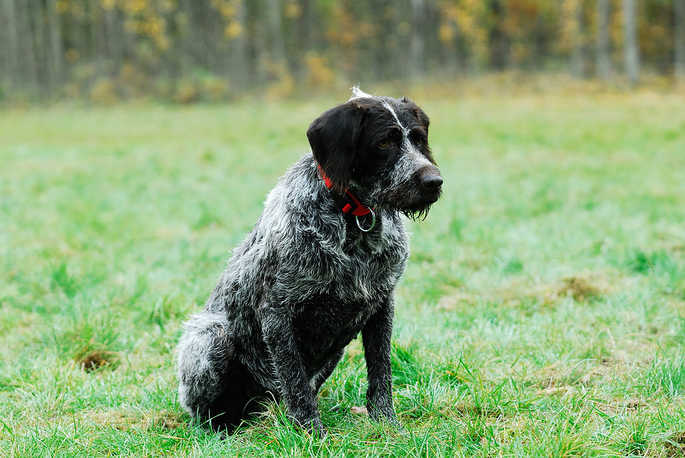 24 Oktober 2012 Oskar 001