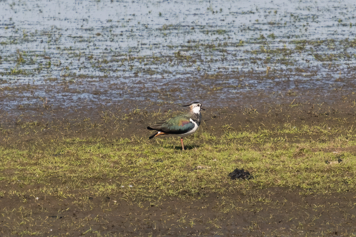 240314-003.jpg