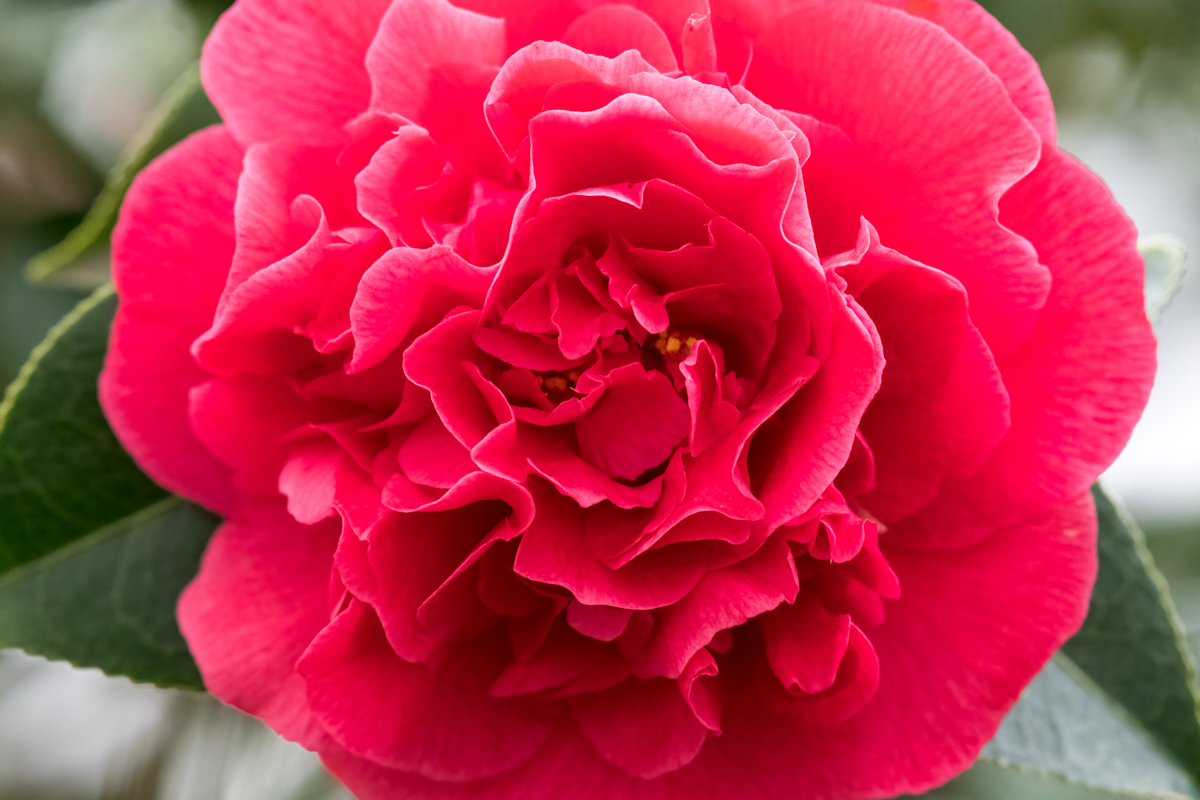 240410-003.jpg