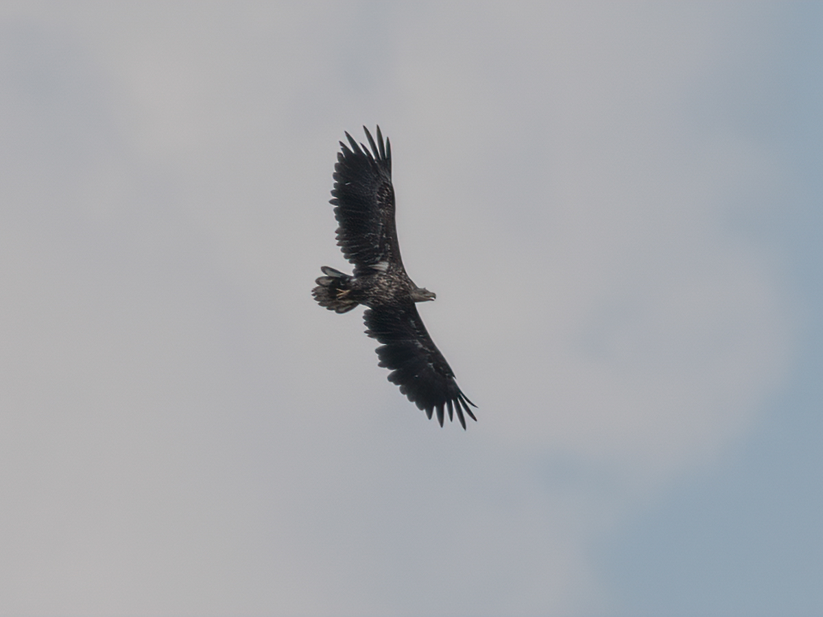 240524-005.jpg