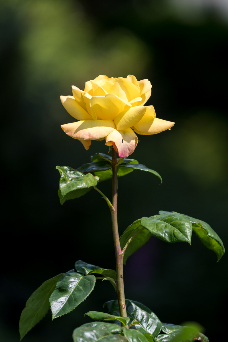 240601-003.jpg