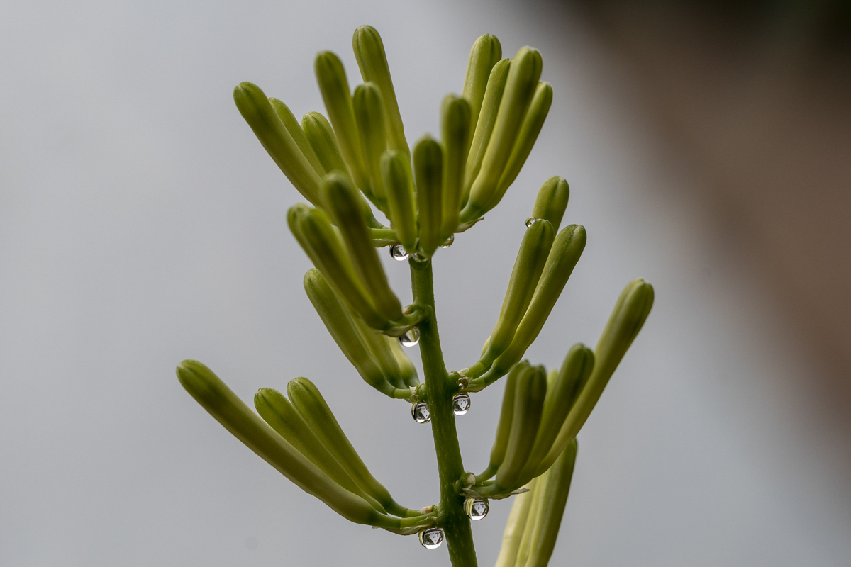 240613-003.jpg