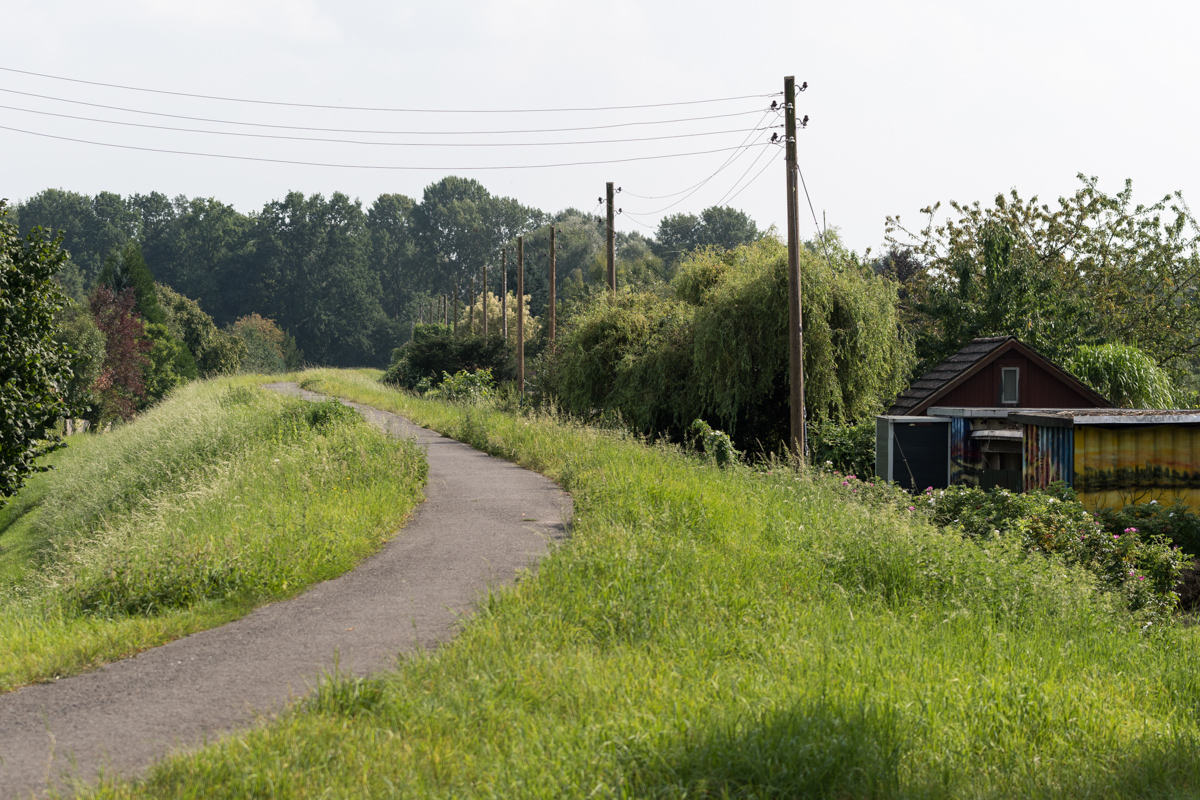 240815-010.jpg