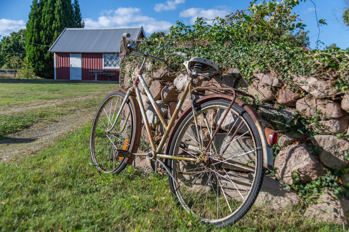 240815 Rostiges-1.jpg