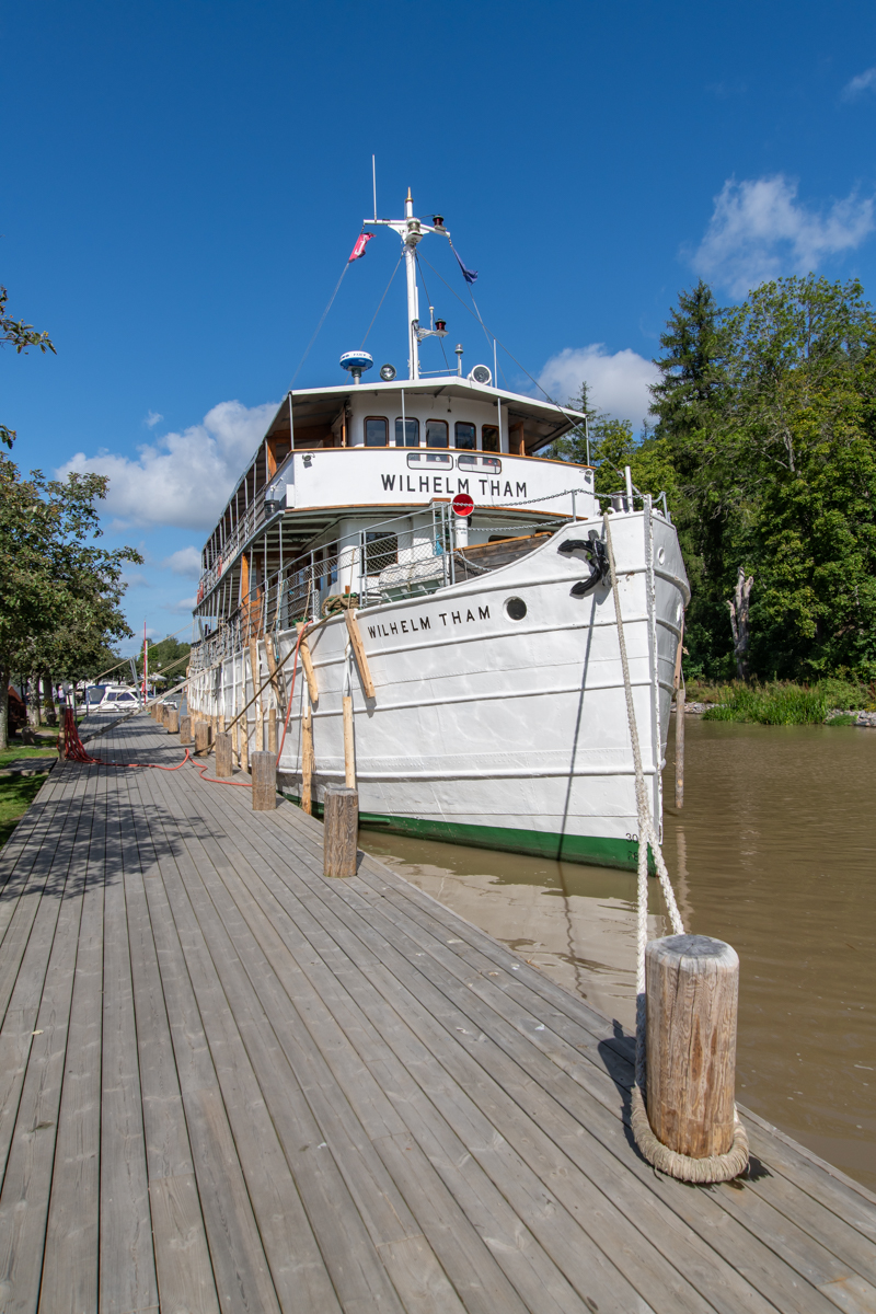240819 Wilherlm Tham-3.jpg