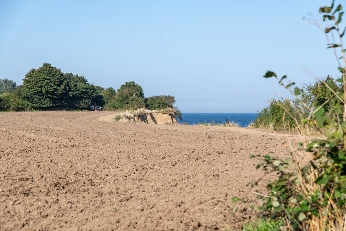 240828 Täglich-1.jpg