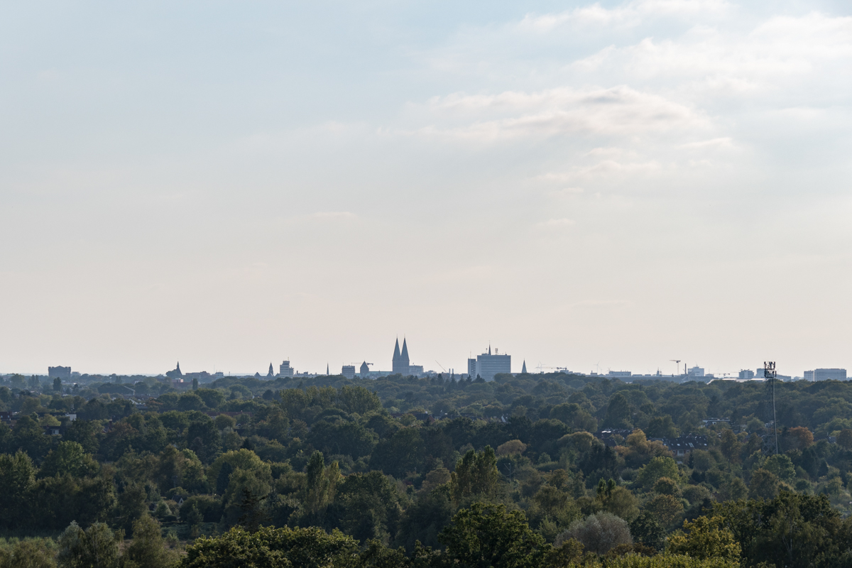 240917-013.jpg