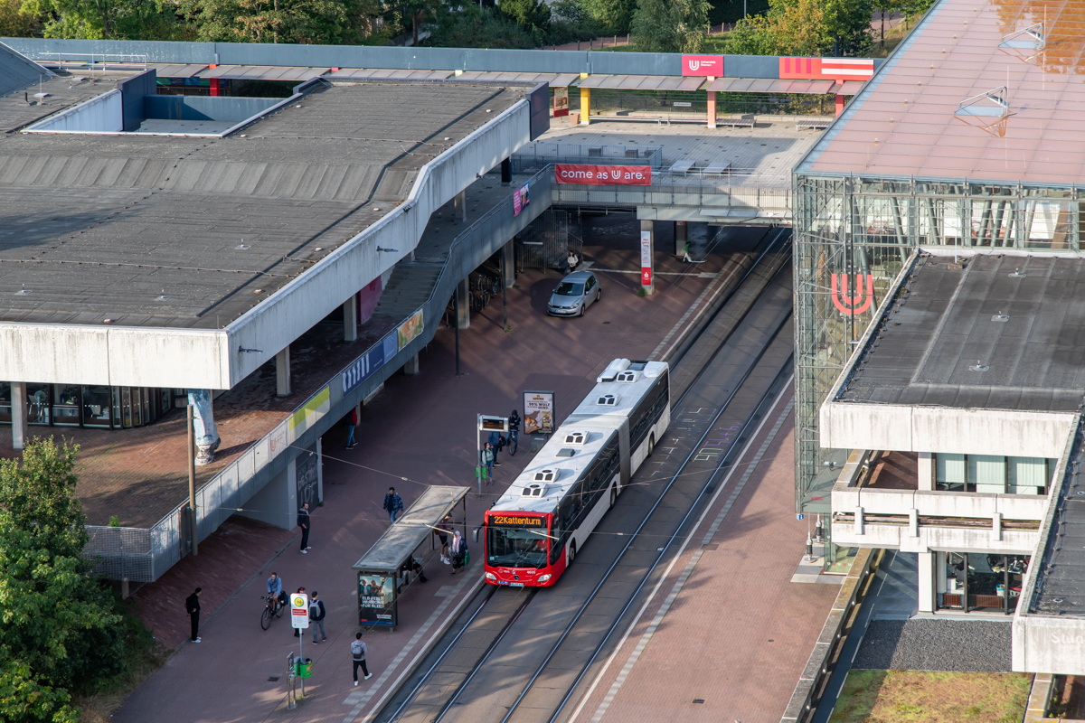 240917 Nikon Stammtisch-12.jpg