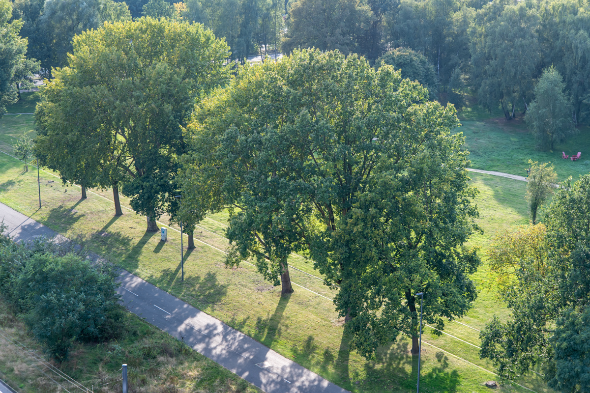 240917 Nikon Stammtisch-14.jpg