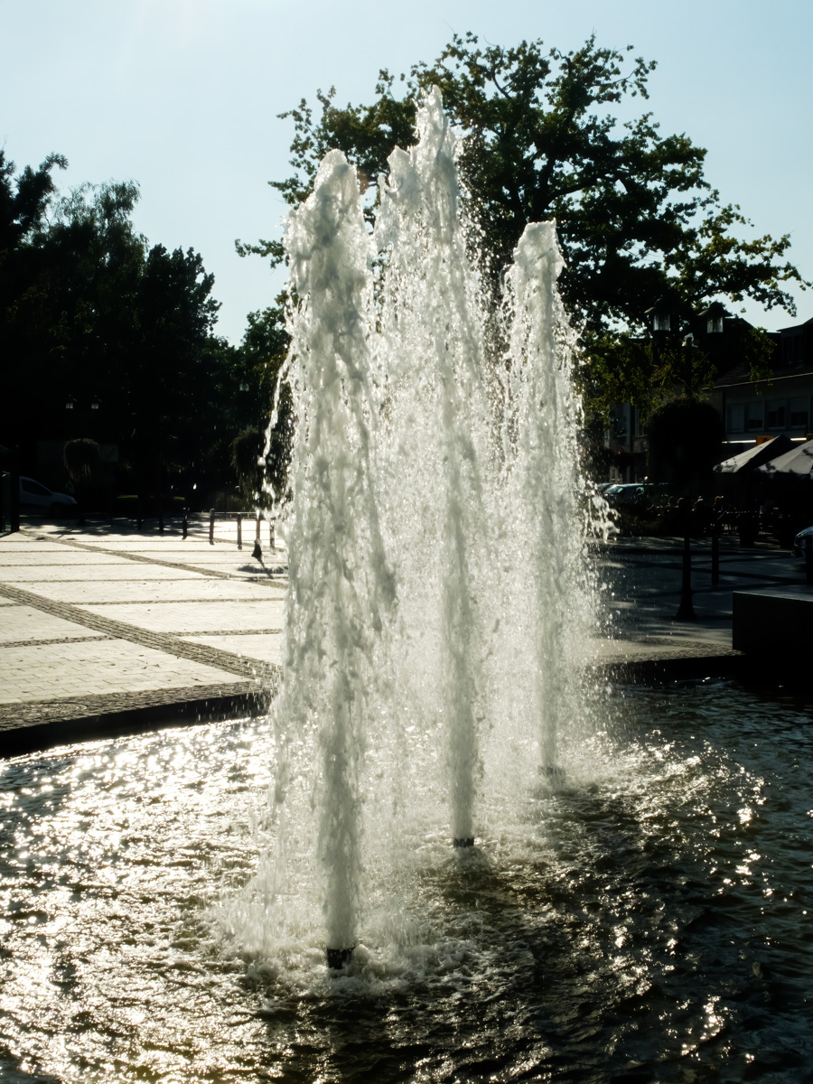 240920-004.jpg