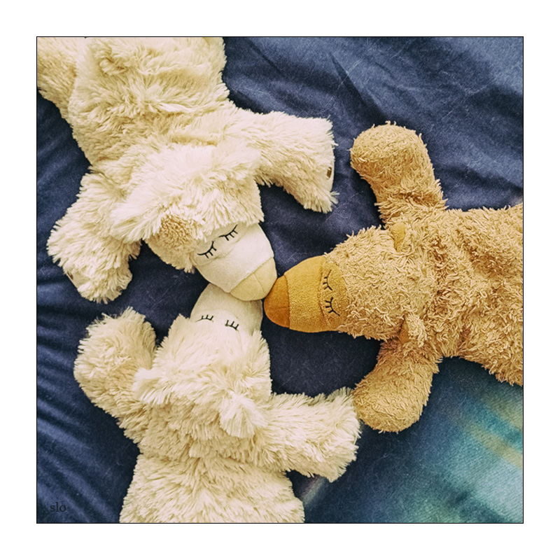 241/365 Simple Minds – Big Sleep © 2025 Sabine Lommatzsch