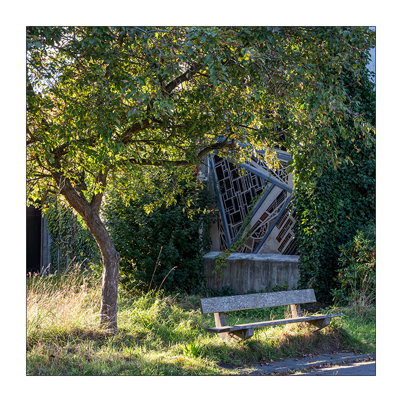 248/365 Melissa Etheridge – The Late September Dogs © 2025 Sabine Lommatzsch