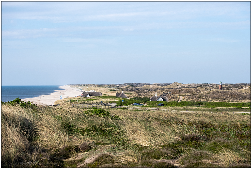 249 Sylt – Nordseedünen bei Kampen