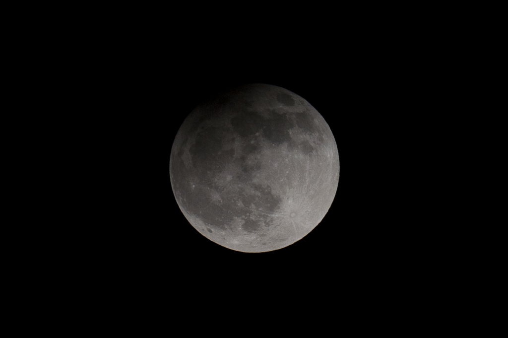 25.3.2013