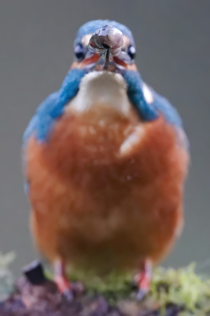 25 400mm f-2.8.jpg