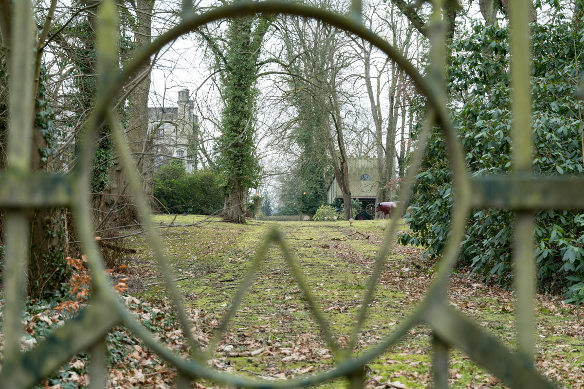 250208-003.jpg