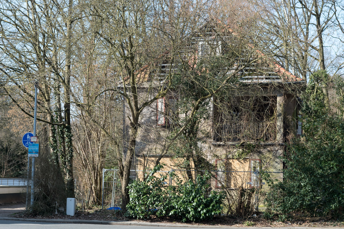 250308-007.jpg