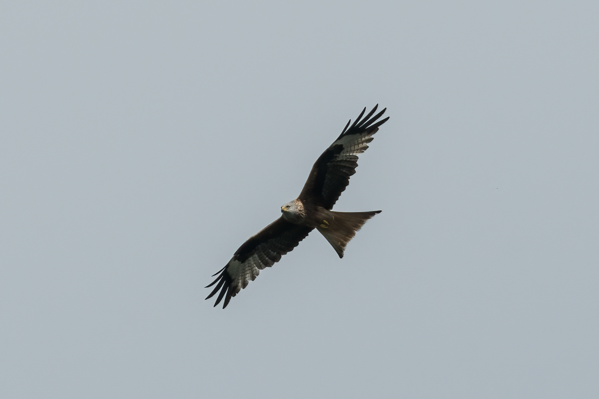 250416-008.jpg