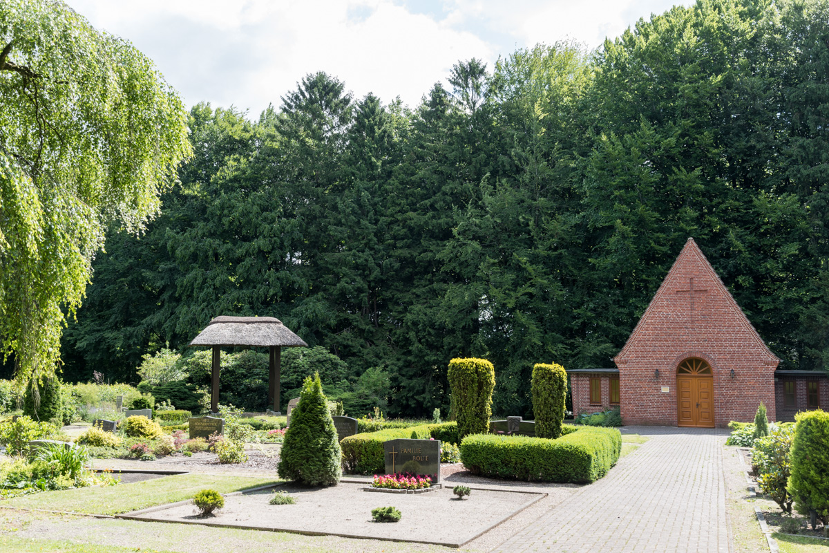 250619-007.jpg