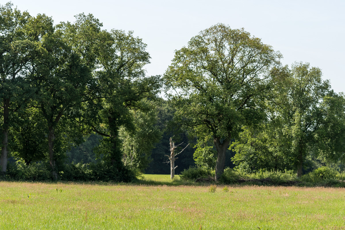 250621-004.jpg