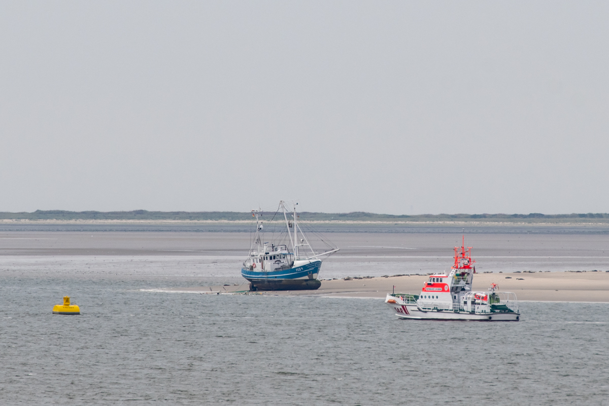 250828 Krabbenkutter FED 4-1.jpg
