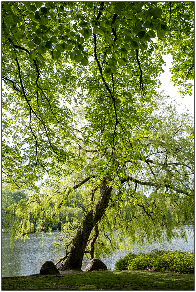 256 Schrevenpark Maisonne II