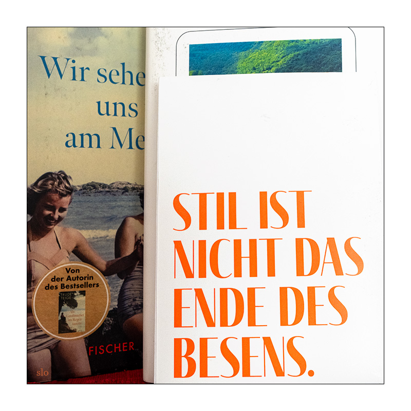 259/365 Skunk Anansie – I’m Not Afraid © 2026 Sabine Lommatzsch