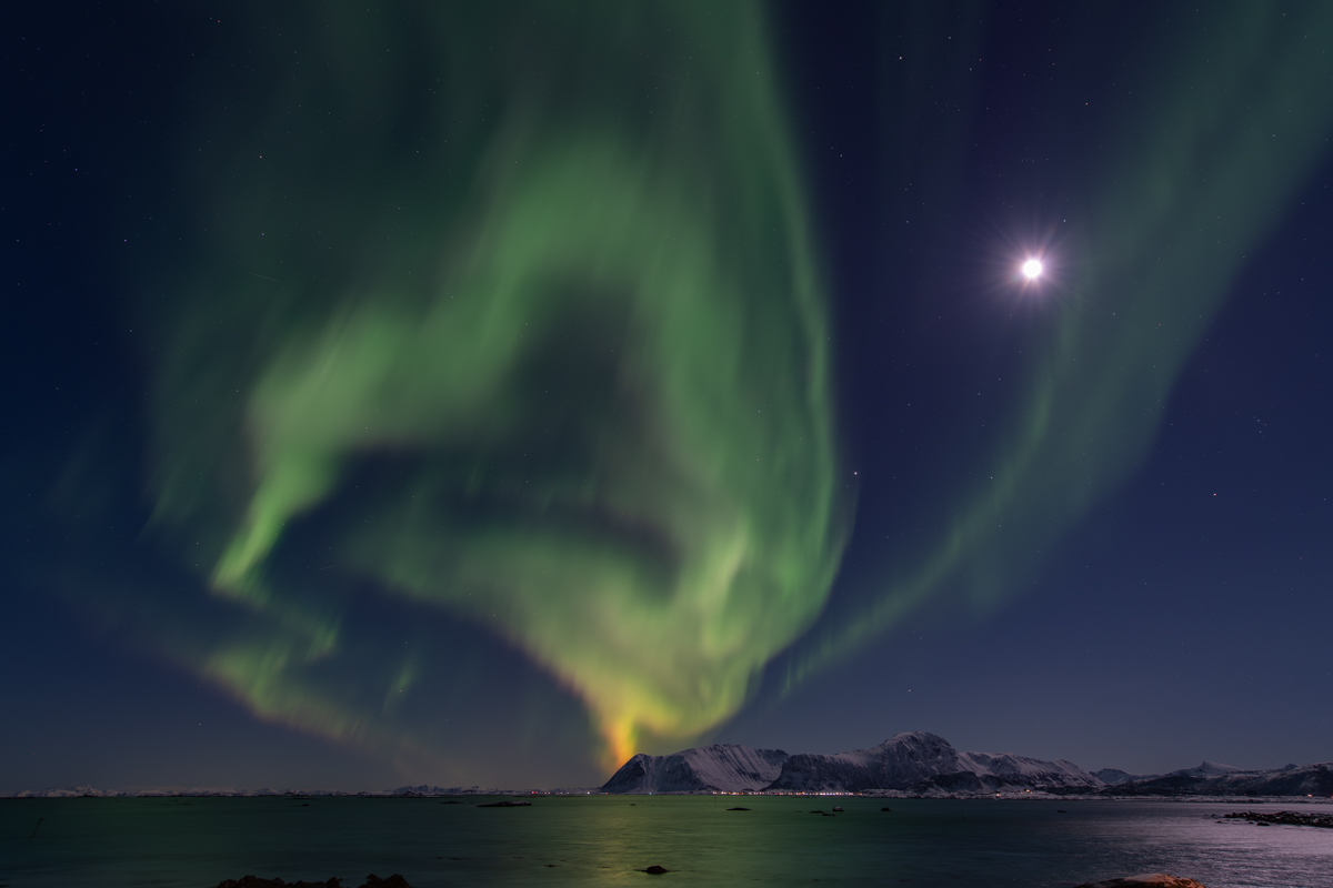 260129 Nordlicht Lofoten-5.jpg