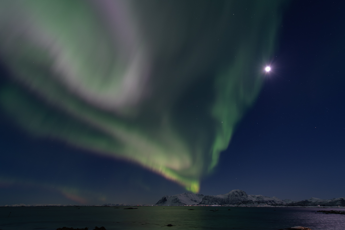 260129 Nordlicht Lofoten NF-F-1.jpg