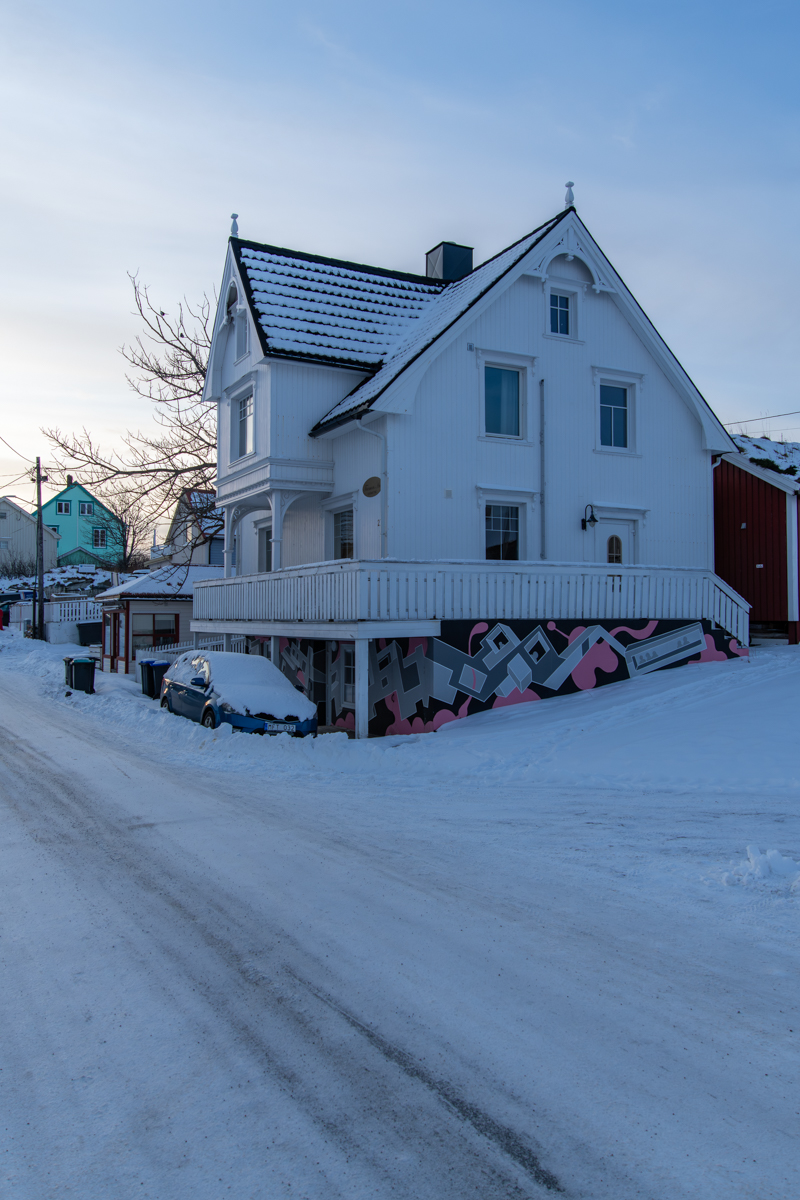260131 Lofoten-1.jpg