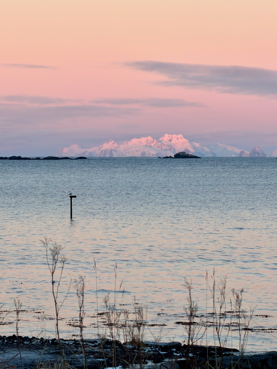 260203 Lofoten NF-F-14.jpg