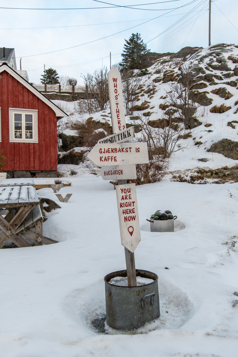 260204 Lofoten NF-F-1.jpg