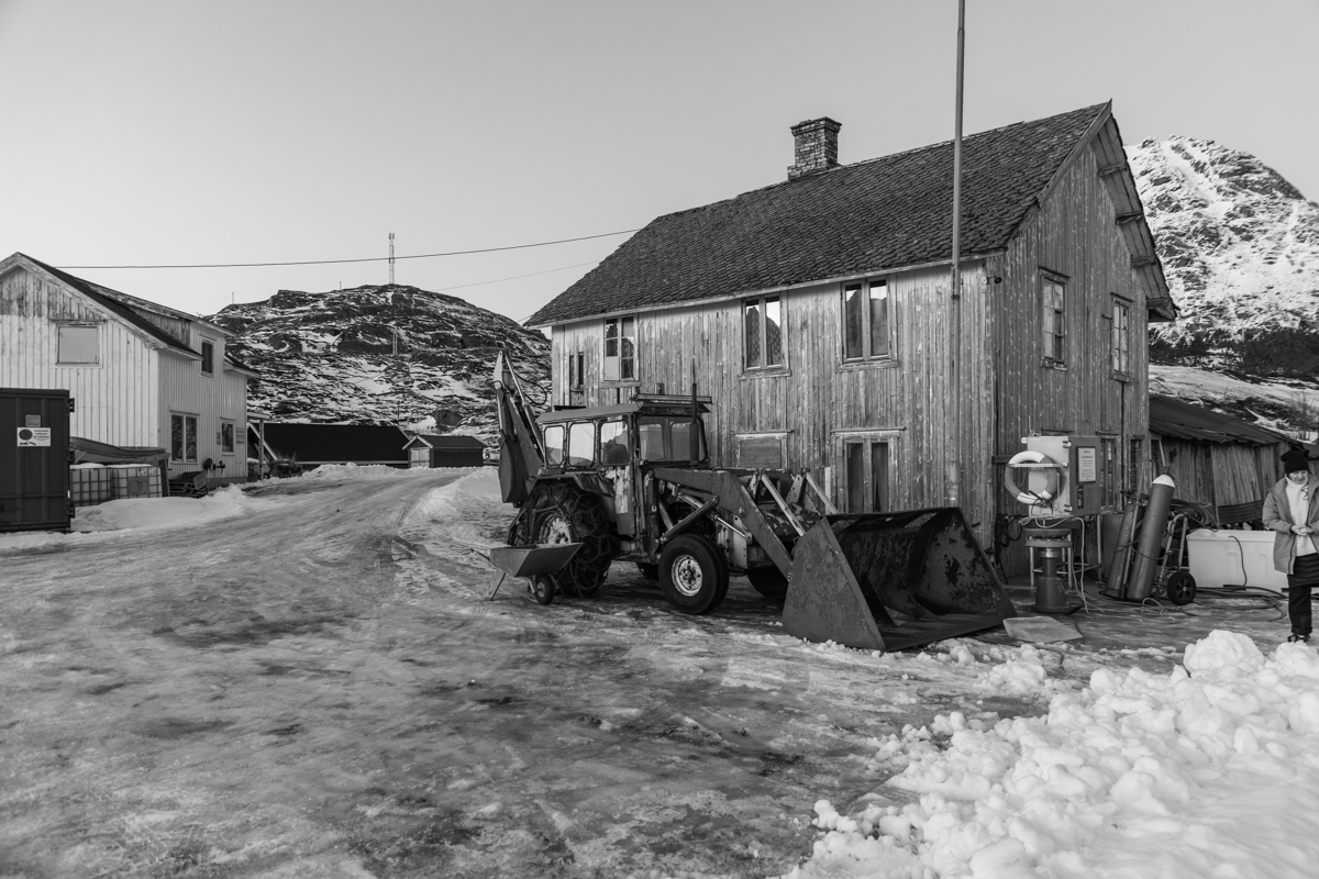 260207 Lofoten NF-F-23.jpg