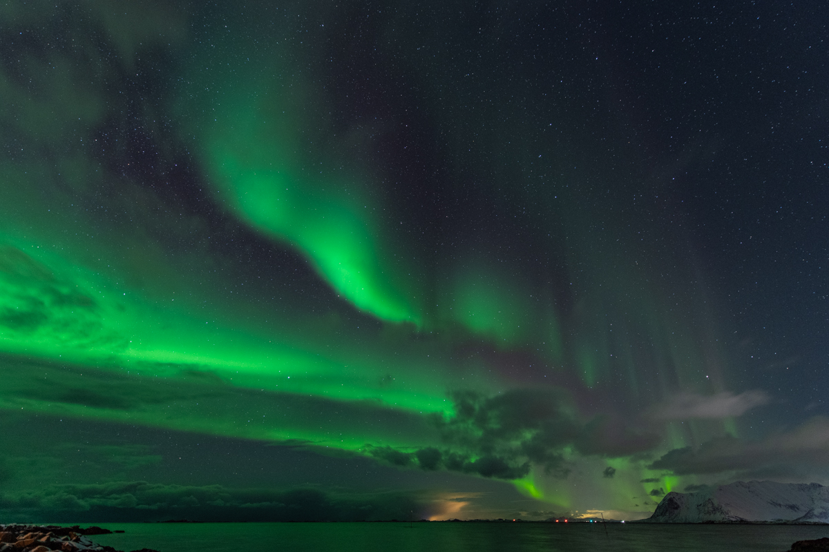 260209 Lofoten NF-F-12.jpg