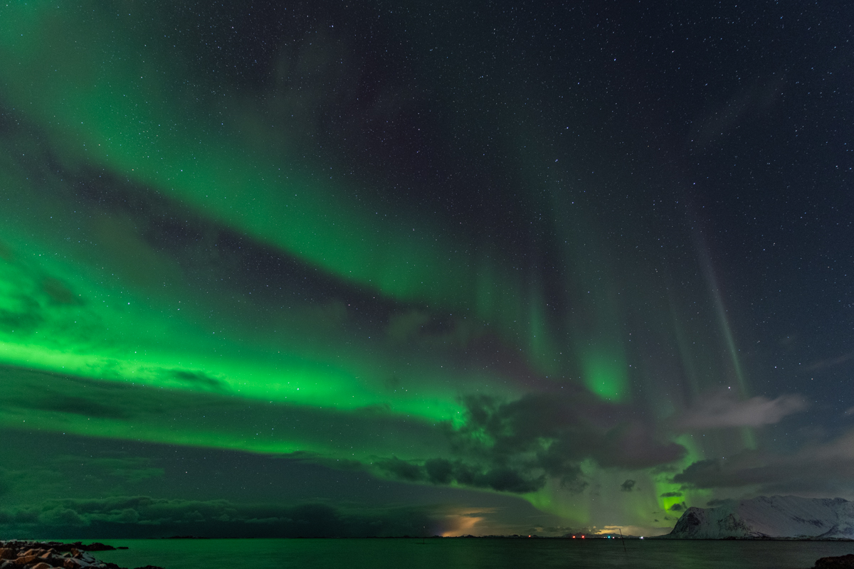 260209 Lofoten NF-F-13.jpg
