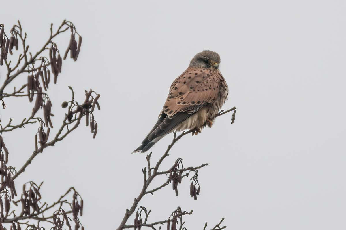 260218-001.jpg