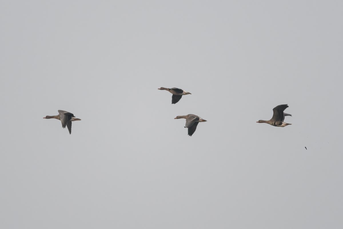 260307-003.jpg