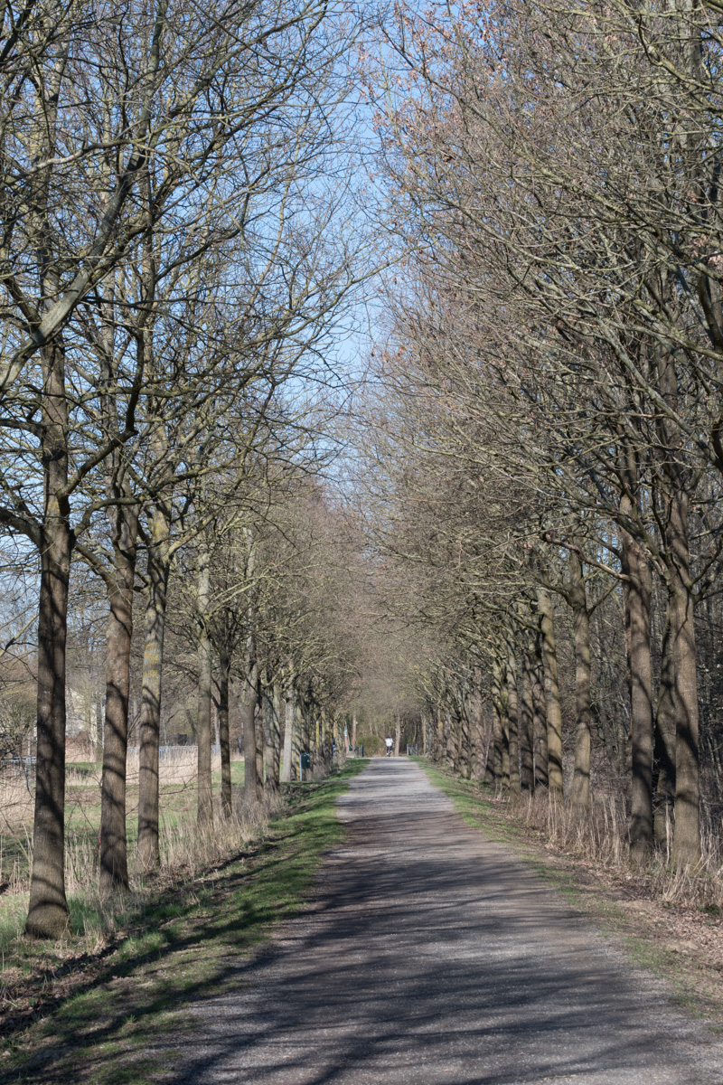 260318-001-2.jpg